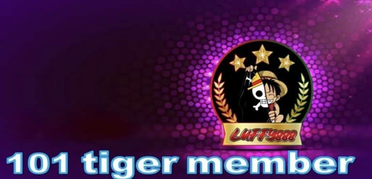 101 tiger member